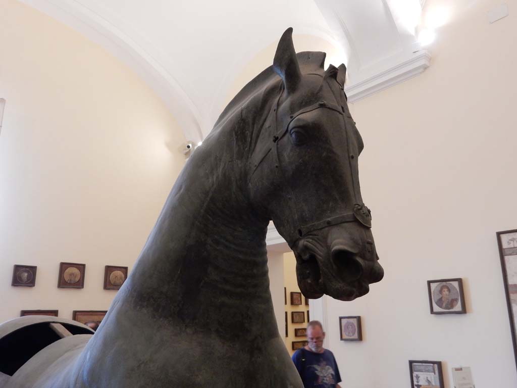 Arch of Caligula, Pompeii. June 2019. Detail of head of bronze horse.
Now in Naples Archaeological Museum. Photo courtesy of Buzz Ferebee.