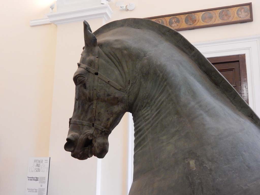 Arch of Caligula, Pompeii. June 2019. Detail of head of bronze horse.
Now in Naples Archaeological Museum. Photo courtesy of Buzz Ferebee.