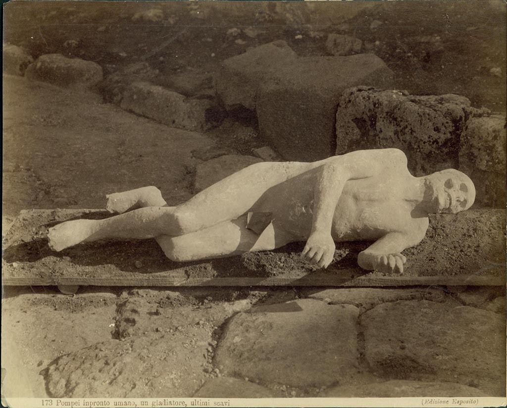 Calco B. Man resting on his left side, found 12th August 1889, outside the Porta Stabia.
Photo by Esposito number 173 Pompei inpronto umano, un gladiatore, ultimi scavi.
Kelsey Museum of Archaeology, University of Michigan Library Digital Collections 1961.07.0700.
See image on Kelsey Museum website
Photo courtesy of Eugene Dwyer.