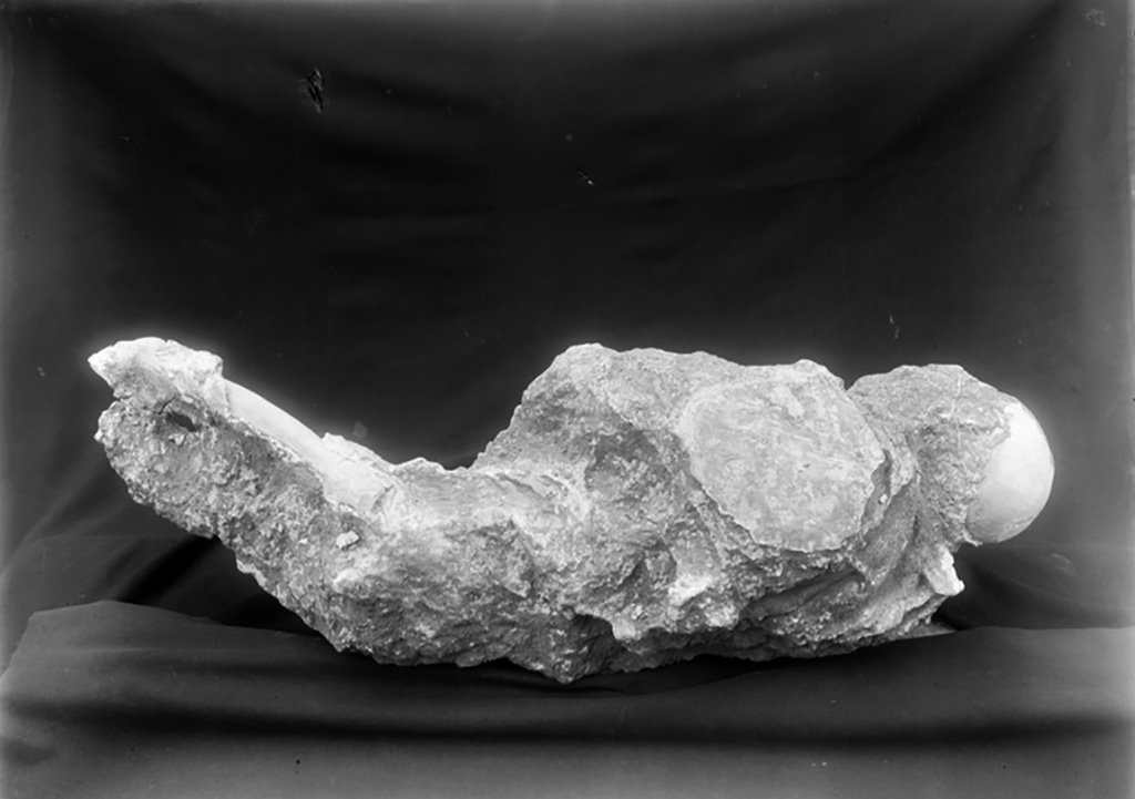 A close-up of a rock
Description automatically generated