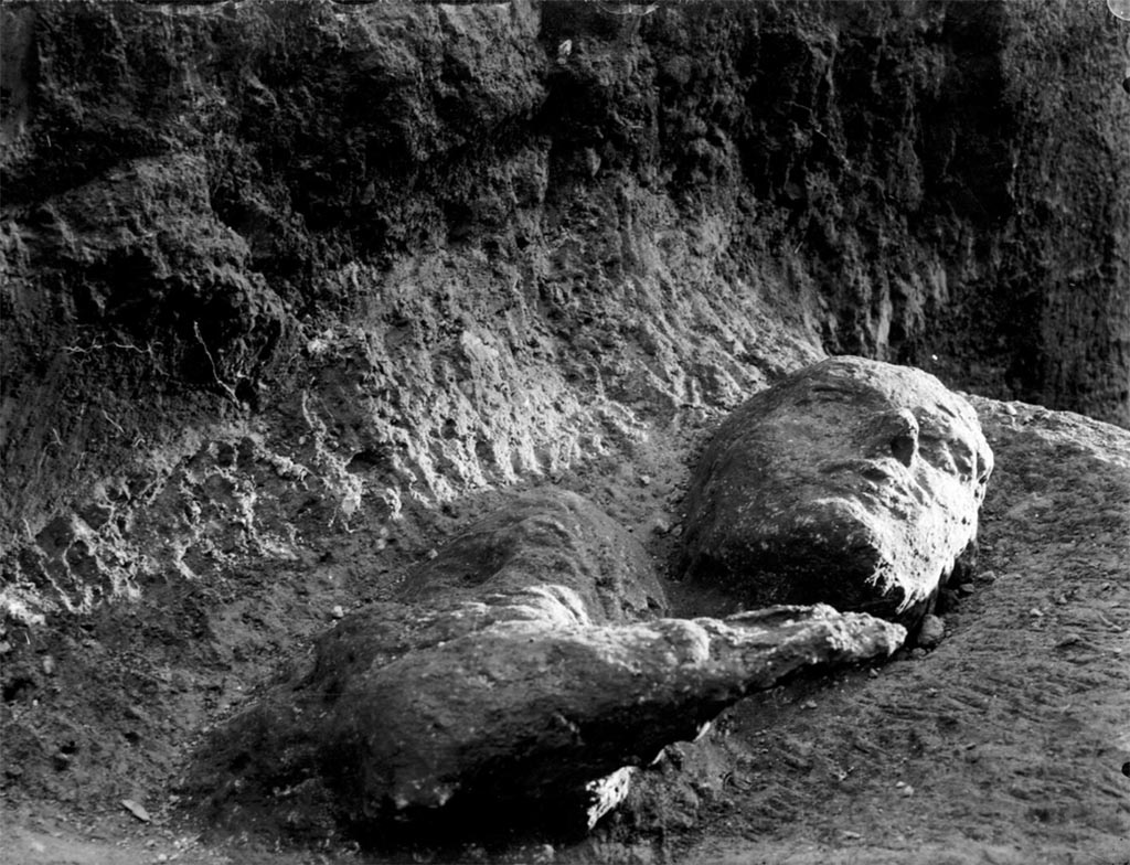 Calco E was found in the entrance of I.7.7 Casa del Sacerdos Amandus during October-November 1924.
Photograph © Parco Archeologico di Pompei.
The victim is a male.
The cast of the victim made was limited to the head and shoulders. It was described as an expressive adult figure with a high forehead, a prominent nose and a face not deformed by agony, his shoulders still wrapped in the fabric of the clothing he was wearing at the time of the catastrophe.
In his 1956 Guida a Pompei Maiuri states that the cast is still in situ.
See Osanna, N., Capurso, A., e Masseroli, S. M., 2021. I Calchi di Pompei da Giuseppe Fiorelli ad oggi: Studi e Ricerche del PAP 46, p. 550-1, Calco E.