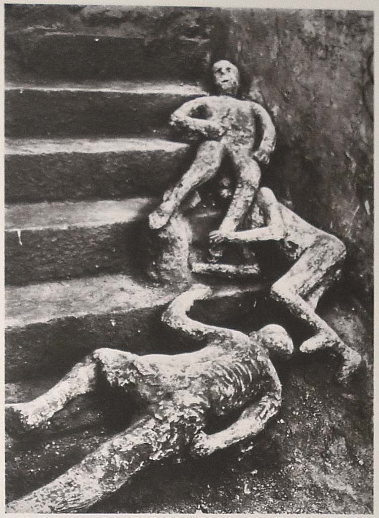 VII.16.17-22 Pompeii. 1961. Casts of three victims at the base of the stairs as shown on Boscoreale Antiquarium information board.
Victim 48 is at the top, Calco H is below and victim 49 is at the bottom.
Photo courtesy of Michael Binns.
According to Carlo Giordano, the cast was the most successful and dramatic of the three found on the staircase of the house.
The cast was stolen from the Casa di Marco Fabio Rufo on the night between 28 and 29 August 1966.
If the cast is to be identified with cast 84, after 1966 it had to have been found and taken to the Casa dei Quattro Stili.
It is possible that this cast can be identified with n. 84, which represents only a surviving part.
The similarity with Cast H is found in the poor anatomical accuracy (like nos. 48-49), in the posture of legs and arms bent and extended forward, and could be deduced from the poor outcome of the face of cast no. 84, in particular the unformed left half and which, in this case, would have had the calf of victim no. 48 resting on it.
See Osanna, N., Capurso, A., e Masseroli, S. M., 2021. I Calchi di Pompei da Giuseppe Fiorelli ad oggi: Studi e Ricerche del PAP 46, p. 556-7, Calco H.