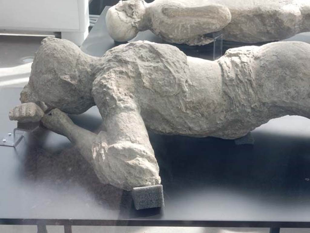 Pompeii. May 2018. Victim number 10. Detail of head and upper part of plaster-casts from exhibition kiosk near Amphitheatre entrance.
Courtesy of Buzz Ferebee.