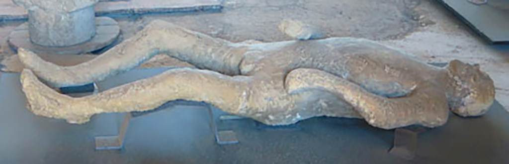 Victim 12. 2015, during restoration.
There were possible traces of fabric on the stomach and waist, perhaps tightened by a belt.
It is not possible to recognize the cast among those known from the archive documentation, perhaps also due to the heavy reconstructive restoration interventions it underwent, but in terms of technical details it would seem close to those made between the end of the nineteenth century and the beginning of the twentieth century.
The victim is an adult male, over 20 years old.
See Osanna, N., Capurso, A., e Masseroli, S. M., 2021. I Calchi di Pompei da Giuseppe Fiorelli ad oggi: Studi e Ricerche del PAP 46, p. 344-5, Calco n. 12.