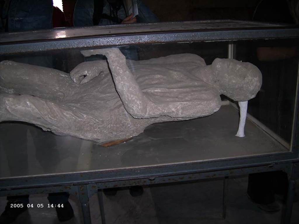 VII.1.8 Pompeii. April 2005. Plaster cast of victim 15, on display in men’s changing room 2.
Photo courtesy of Klaus Heese.