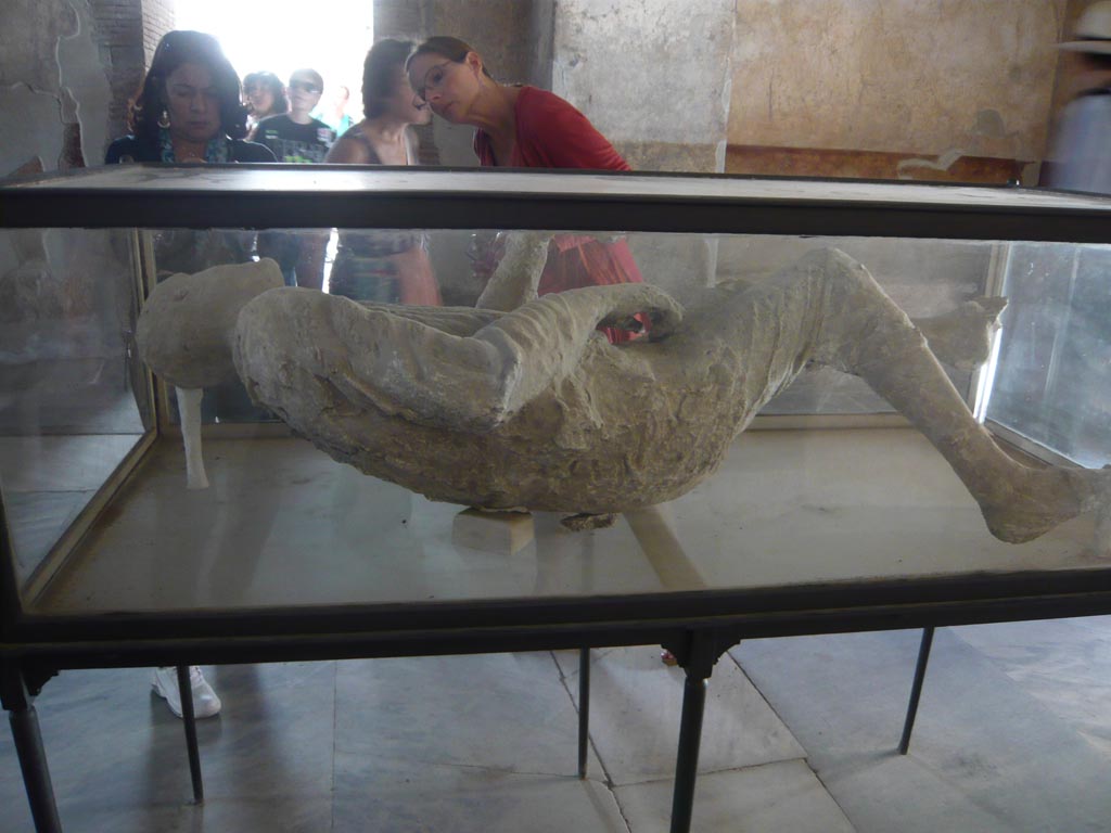 VII.1.8 Pompeii. May 2012. Rear of plaster cast of victim 15, on display in men’s changing room 2.
Photo courtesy of Buzz Ferebee.