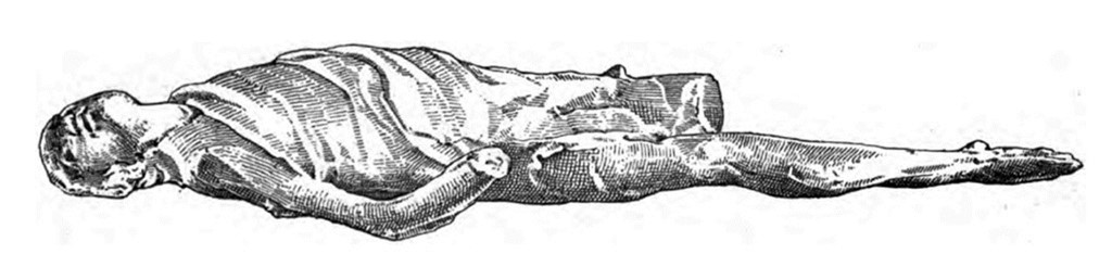 Boscoreale, Villa della Pisanella. 1895. Torcularium. Body cast of man stretched out on bench.
See Pasqui A., La Villa Pompeiana della Pisanella presso Boscoreale, in Monumenti Antichi VII 1897, fig. 53b.