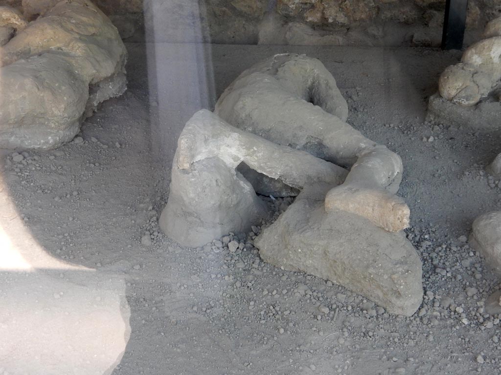 I.21.6 Pompeii. May 2016. Plaster cast of victim 35. Photo courtesy of Buzz Ferebee.
The body was found between the 17th and 22nd of April at about 17.9m from the southern wall and approximately 1m from the eastern wall.
The victim is a male aged over 20 years.
Perhaps traces of drapery can be seen on the torso.
The body was found next to victim 39 but oriented in the opposite way. Not far from victim 35’s head were found victims 36 and 37.
See Osanna, N., Capurso, A., e Masseroli, S. M., 2021. I Calchi di Pompei da Giuseppe Fiorelli ad oggi: Studi e Ricerche del PAP 46, p. 402-3, Calco n. 35.