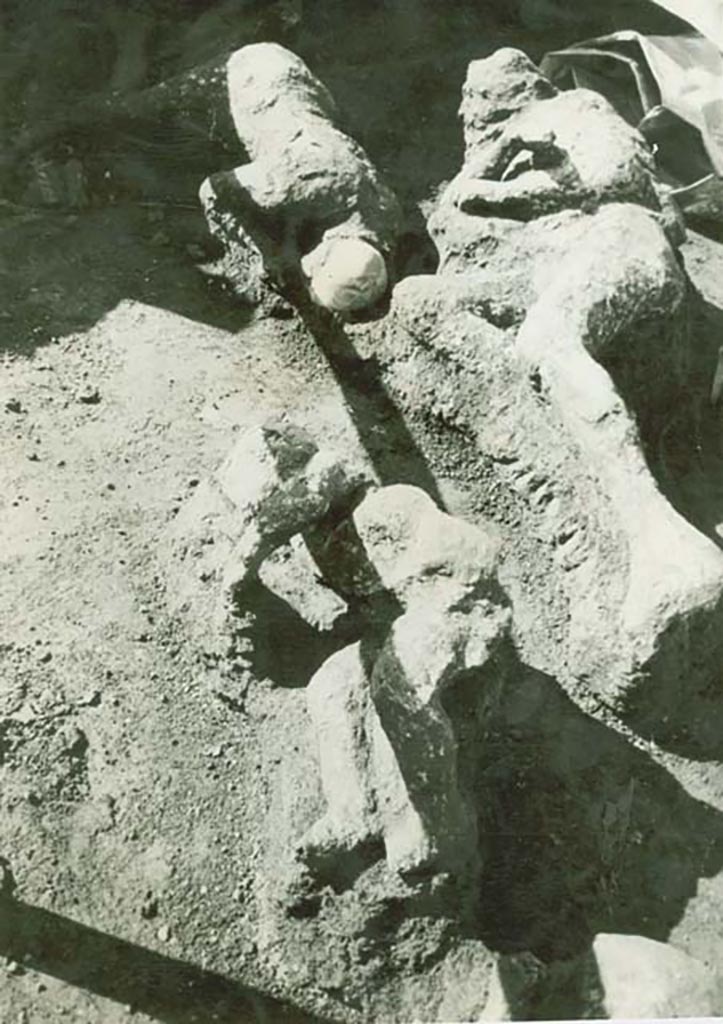 I.21.5, Pompeii. 1961. Plaster-casts of fugitives recently found. Victim 39, right, victim 36, front, and victim 35 at left rear.
A newspaper report at the time reported the finding of eight bodies.
Two families were reported, supposedly of market gardeners, with one family found nearby the other.
One family was made up of the parents and two children, preceded by a man carrying a sack on his shoulders.
The second family consisted of a man also carrying a sack, a woman and child.
The three in this photo were reported as being from the family of five.
The mother was said to be on the right, the father to the left and the child in the foreground.
Photo courtesy of Rick Bauer.