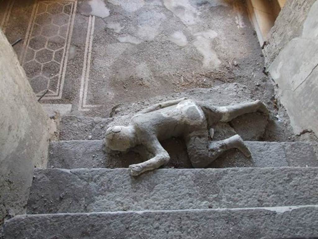 VII.16.17-22 Pompeii. December 2007. Plaster cast of body lying at foot of staircase.
Four people met their death in this house, three of them died huddled together on this staircase. They were discovered in November 1961. It was possible to make casts of the group of three. A copy of the plaster cast of the lowest of the three bodies remains where it was discovered. The fourth skeleton was lying on the landing at the bottom of the stairs but only a photo remains of this skeleton.