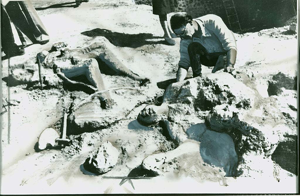 Porta Nola Pompeii. Press photo dated 18th September 1976 of body casts "Discovered this week on the outskirts of Pompeii".
The photo has been touched in in places for publication so it is difficult to be certain but comparing with the plan above could suggest: victim 56 rear to the left? Victim 57 with arm outstretched? Victim 61 on the lower right? Victim number 5 with the sheathed knife recorded by De Caro would have been in this group also.
Photo courtesy of Rick Bauer.
