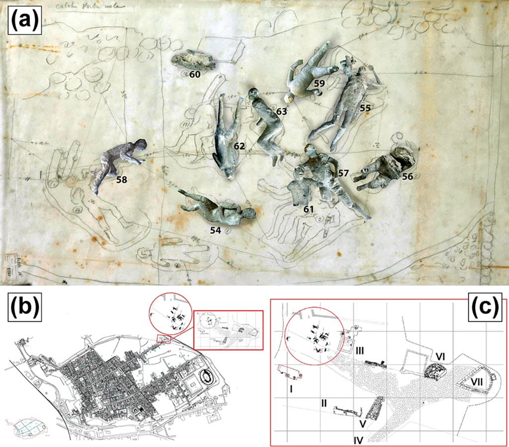 Victim 59. Location of casts from Porta Nola.
(a) Original position of some of the studied Porta Nola casts (#57, #62, #58, #54, #55). (b) Map of Pompeii. (c) Detail of casts discovery area (I: Burials of Praetorians; II: Modern Masonries; III: Tomb of Obellius Firmus; IV: Porta Nola; V: Leakpan; VI: Tomb of Esquilia Polla; VII: Anonymous Tomb).
Photo courtesy of The Casts of Pompeii Project. Use subject to CC BY 4.0 Deed
See Alapont L, Gallello G, Martinón-Torres M, Osanna M, Amoretti V, Chenery S, et al. (2023) The casts of Pompeii: Post-depositional methodological insights. PLoS ONE 18(8): e0289378, fig. 1. https://doi.org/10.1371/journal.pone.0289378