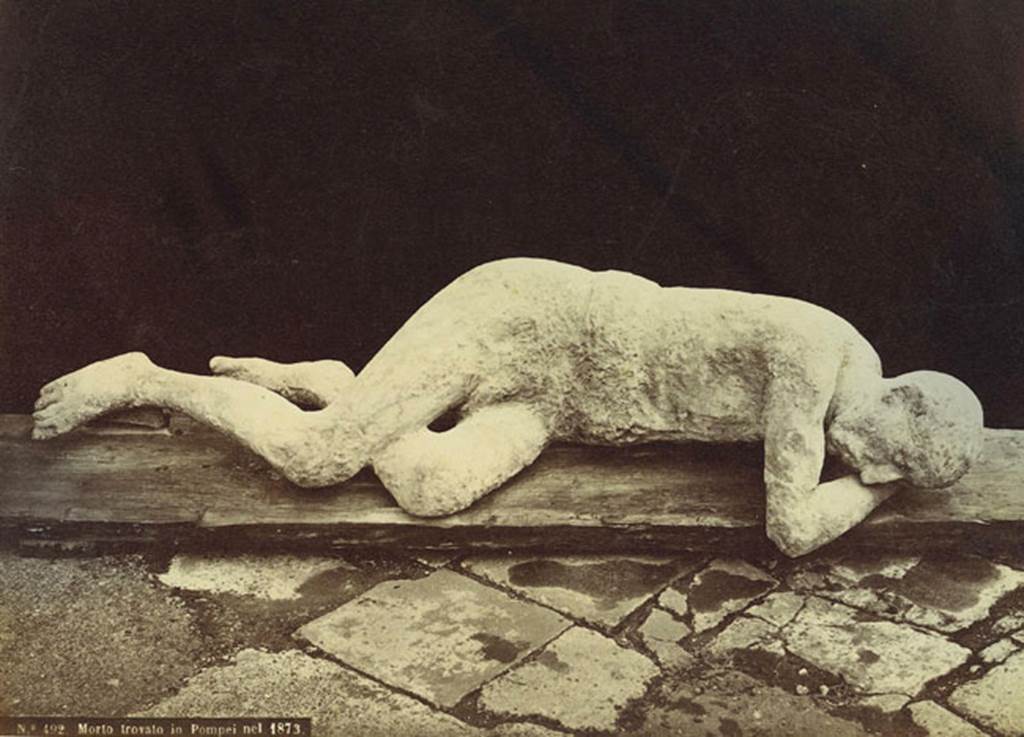 Victim number 7 photographed by Roberto Rive no. 492 "Morto trovato in Pompei nel 1873". Photo courtesy of Eugene Dwyer.