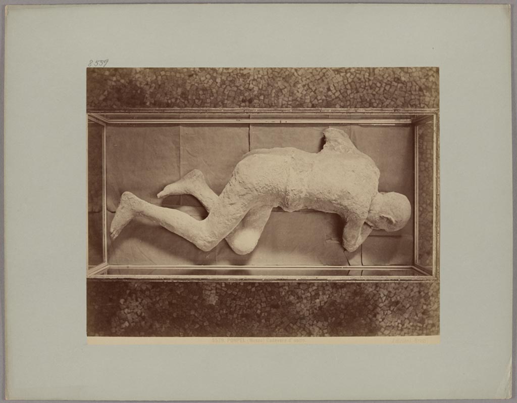 Victim 7, in display case, ca. 1870–1880. Photo Edizioni Brogi: 5579, POMPEI. (Museo) Cadavere d'uomo.
Photo courtesy of Städel Museum, Frankfurt am Main, inventory number St.F.1804.