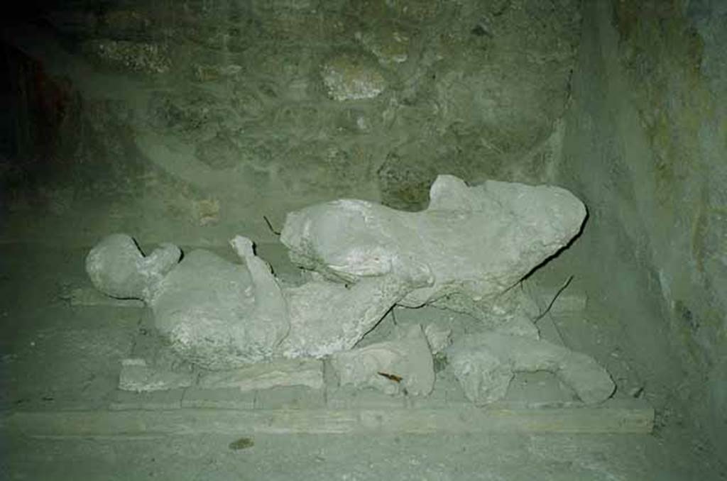 I.8.17 Pompeii. June 2010. Room 10, plaster casts of victim 85 (rear right) and victim 84 (front). Looking east. Photo courtesy of Rick Bauer.
Victim 85 is probably a male, aged over 20 years.
The date and place of discovery is unknown.
The right leg seems to still be attached to the body and part of the head can be seen.
Two hypotheses are put forward:
1. It is possible it may come from I.21.2/6, the Orto dei Fuggiaschi, recorded in the excavation diary on the 10th of April 1961.
2. It may be a cast made in 1902 during the excavation of the taberna V.3.2. Three casts were made, and all were recorded as unsuccessful (malriusciti).
This could be the second of the casts recorded in 1902 as being only a portion of the trunk .
See Osanna, N., Capurso, A., e Masseroli, S. M., 2021. I Calchi di Pompei da Giuseppe Fiorelli ad oggi: Studi e Ricerche del PAP 46, pp. 515-6, Calco n. 85.
Paribeni in NdS 1902, records: In fact, on the following 10th June only the cast of an arm with the upper part of the chest and the head emerged from a skeleton; of another, a portion of the trunk, and of a third, the almost complete cast. All these casts, however, due to the void being occupied in many places by lapilli, were very unclear and such that no value could be attributed to them.
See Notizie degli Scavi di Antichità, 1902, p. 379.