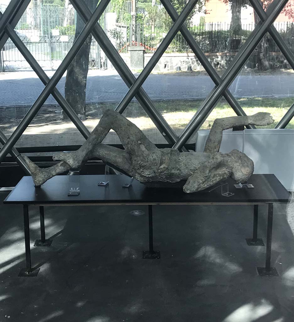 Victim 79. April 2019. Cast on display at Pompeii in the display area near the amphitheatre entrance. Photo courtesy of Rick Bauer.
Victim 79 is probably a male aged over 20 years old.
The location and date of its find are not known.
The PAP Archive photographs D 372 and D 576 do not have any information or context recorded.
The body was laying on its left side when found.
There are drapery folds around the waist and traces on the torso.
See Osanna, N., Capurso, A., e Masseroli, S. M., 2021. I Calchi di Pompei da Giuseppe Fiorelli ad oggi: Studi e Ricerche del PAP 46, p. 502-4, Calco n. 79.