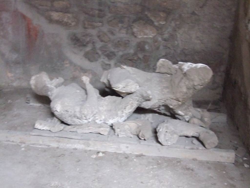 V.3.2 Pompeii. 1902. Possible victim number 1 or 3 in I.8.17 Pompeii. December 2007. Room 10, plaster cast of victim 84 (front).
The find date and location of victim 84 are unknown.
Four hypotheses have been put forward.
1. This could be the cast from the stair in Marcus Fabius Rufus found in 1961 and now referred to as Calco H.
2. This could be the cast recorded in the Orto dei Fuggiaschi on the 10th of April 1961.
3. This could be the victim found on the 24th January1882 in the vicolo delle Pareti Rosse and now referred to as Calco A.
4. This could be the first of the three casts, with an arm, upper part of the trunk, and the head, or the third almost complete cast, made in 1902 in the taberna V.3.2. This hypothesis should be shared with the cast that was not found (Calco G).
See Osanna, N., Capurso, A., e Masseroli, S. M., 2021. I Calchi di Pompei da Giuseppe Fiorelli ad oggi: Studi e Ricerche del PAP 46, pp. 512-514, Calco n. 84a to 84f.
Paribeni in NdS 1902, records: In fact, on the following 10th June only the cast of an arm with the upper part of the chest and the head emerged from a skeleton; of another, a portion of the trunk, and of a third, the almost complete cast. All these casts, however, due to the void being occupied in many places by lapilli, were very unclear and such that no value could be attributed to them.
See Notizie degli Scavi di Antichità, 1902, p. 379.