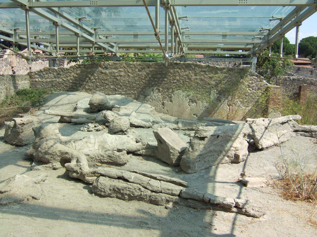 I.22.1 Pompeii. September 2005. Plaster casts of a group of fleeing people, discovered in 1989.
These were found on the lapilli behind the entrance.
According to the report they were found in the corner north-west of the insula in August 1989.
There were ten corpses, including 2 children, 1 girl and 1 woman.
See Luongo, G et al. (2003): Journal of Volcanology and Geothermal Research 126, (p.169-200)