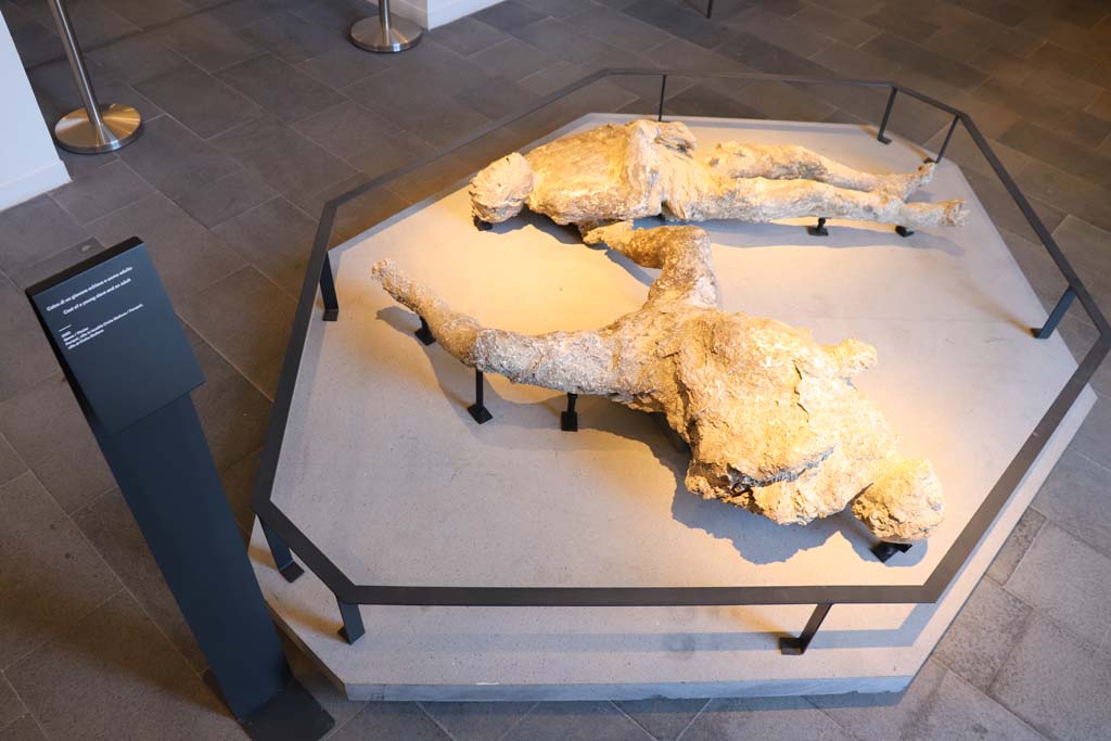 Victims 92 and 93. February 2021. Plaster-cast of victim 92, a young slave (rear) and victim 93, an adult man (front), from Cività Giuliana, in Pompeii Antiquarium.
Photo courtesy of Fabien Bièvre-Perrin (CC BY-NC-SA).
Vittime 92 e 93. Febbraio 2021. Calco in gesso della vittima 92, un giovane schiavo (dietro) e della vittima 93, un uomo adulto (davanti), da Cività Giuliana, all'Antiquarium di Pompei.
Foto per gentile concessione di Fabien Bièvre-Perrin (CC BY-NC-SA).
VIII.1.4 Pompei. Febbraio 2021. Calco in gesso della vittima 92, un giovane schiavo (dietro) e della vittima 93, un uomo adulto (davanti), da Cività Giuliana, all'Antiquarium di Pompei.
Foto per gentile concessione di Fabien Bièvre-Perrin (CC BY-NC-SA).