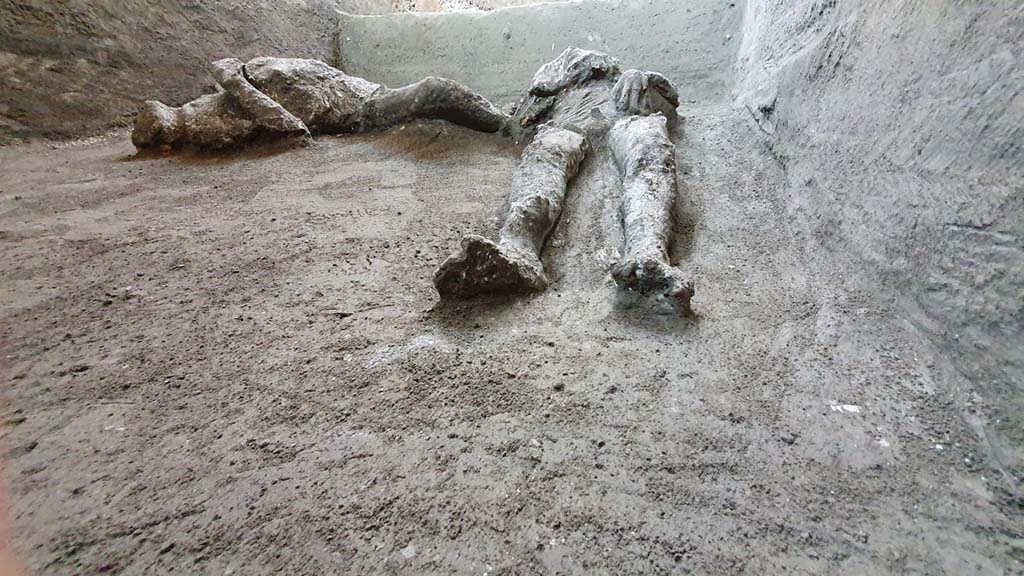 November 2020. The bodies were found in a side room of the cryptoporticus.
The plaster casts have yielded the shapes of the bodies of the two victims, in a supine position, victim 92 (right) and victim 93 (left).
Both had died suddenly during the so-called second pyroclastic flow, which struck Pompeii and the surrounding area in the early hours of the 25th October, leading to the death of the survivors who were still present in the city and countryside. This second flow was preceded by a brief period of quiet, perhaps half an hour, during which the survivors both at Pompeii and probably at Cività left their dwellings in a vain attempt to save themselves.
The flow that struck was however very fast and very violent, bringing down the first floors of the houses and surprising the victims as they attempted to escape across a few centimetres of ash, leading to their deaths. In this case it is probable that the pyroclastic flow flooded the room through several openings, entombing them in the ash.
Novembre 2020. I corpi sono stati individuati in un vano laterale del criptoportico.
I calchi in gesso hanno prodotto le forme dei corpi delle due vittime, in posizione supina, vittima 92 (a destra) e vittima 93 (a sinistra)..
Entrambe erano state sorprese dalla morte durante la cosiddetta seconda corrente piroclastica, che nelle prime ore del mattino del 25 ottobre investì Pompei e il territorio circostante portando alla morte dei superstiti ancora presenti in città e nelle campagne. Questa seconda corrente era stata preceduta da una fase di breve quiete, forse di una mezz’ora, durante la quale i sopravvissuti sia a Pompei che probabilmente a Civita, uscirono dalle abitazioni nel vano tentativo di salvarsi.
La corrente che lì investì fu però molto veloce e turbolenta abbatté i primi piani delle abitazioni e sorprese le vittime mentre fuggivano su pochi centimetri di cenere, portandoli alla morte. Nel nostro caso è probabile che la corrente piroclastica abbia invaso l’ambiente da più punti inglobando e seppellendole nella cenere.
Photograph © Parco Archeologico di Pompei.