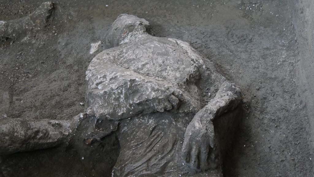Victim 92. November 2020. First victim.
Studies revealed that the first victim, with his head tilted, and his teeth and skull visible, was a young man, between 18 and 23/25 years of age, who was approximately 156cm tall. The presence of a series of vertebral compressions, unusual in a young man of his age, would suggest that he had carried out hard manual work. He could therefore have been a slave. He wore a short tunic, of which the imprint of the drapery is clearly visible on the lower part of the belly, with thick rich folds and traces of heavy fabric, of a consistency which suggests that it was made of wool fibres. Several fragments of white plaster were found next to the face, and fragments of the wall preparation layer of the room were found alongside the legs.
Vittima 92. Novembre 2020. La prima vittima
La prima vittima, con il capo reclinato, denti e ossa del cranio visibili, dai primi studi risulta essere un giovane, fra i 18 e i 23/25 anni, alto circa 156 cm. La presenza di una serie di schiacciamenti vertebrali, inusuali per la giovane età dell’individuo, fa ipotizzare anche lo svolgimento di lavori pesanti. Poteva dunque trattarsi di uno schiavo. Indossava una tunica corta, di cui è ben visibile l’impronta del panneggio sulla parte bassa del ventre, con ricche e spesse pieghe, la cui consistenza assieme alle tracce di tessuto pesante, fanno ipotizzare che si trattasse di fibre di lana. Accanto al volto sono presenti alcuni frammenti di intonaco bianco e lungo le gambe frammenti della preparazione parietale del vano.
Photograph © Parco Archeologico di Pompei.