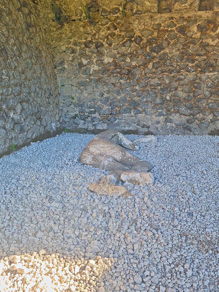 North-west side of Via delle Tombe. October 2024. Victim 31.
Plaster cast of a teenager. Photo courtesy of Giuseppe Ciaramella.

