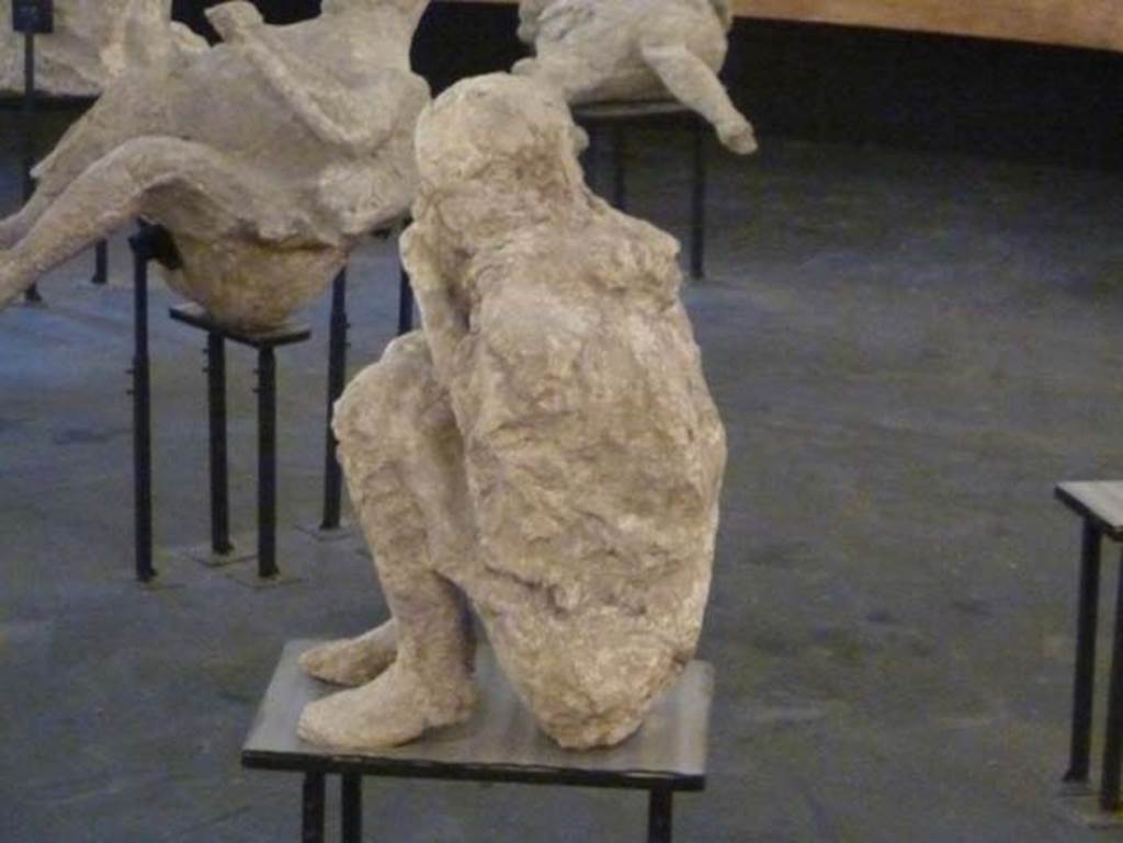Victim 28. From II.7.1 Pompeii Palaestra. September 2015.
Photographed on display as an exhibit in the Summer 2015 exhibition in the amphitheatre.