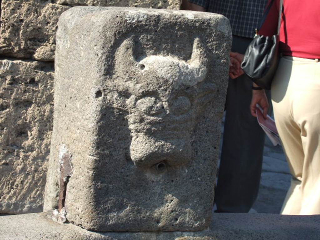 Fountain outside VI.13.7. September 2005. Relief of head of bull or ox.
