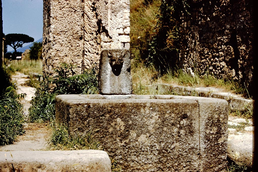 Fountain with the face of a panther, and water column at its rear, between VI.16.3 and VI.16.4 on Via del Vesuvio. 1959.
Photo by Stanley A. Jashemski.
Source: The Wilhelmina and Stanley A. Jashemski archive in the University of Maryland Library, Special Collections (See collection page) and made available under the Creative Commons Attribution-Non Commercial License v.4. See Licence and use details.
J59f0425