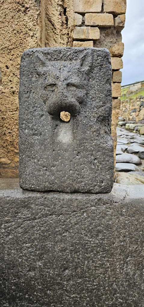 Fountain relief with face of panther, between VI.16.3 and VI.16.4.
December 2023. Looking north. Photo courtesy of Miriam Colomer.