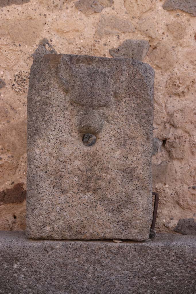 VII.8 Forum. September 2021.
Fountain outside north wall with relief of head of dog. Photo courtesy of Klaus Heese.