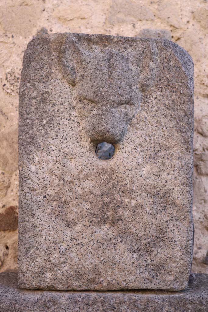 Relief of dog, on fountain next to VII.7.26 outside north wall of VII.8 Forum. December 2018.
Photo courtesy of Aude Durand.