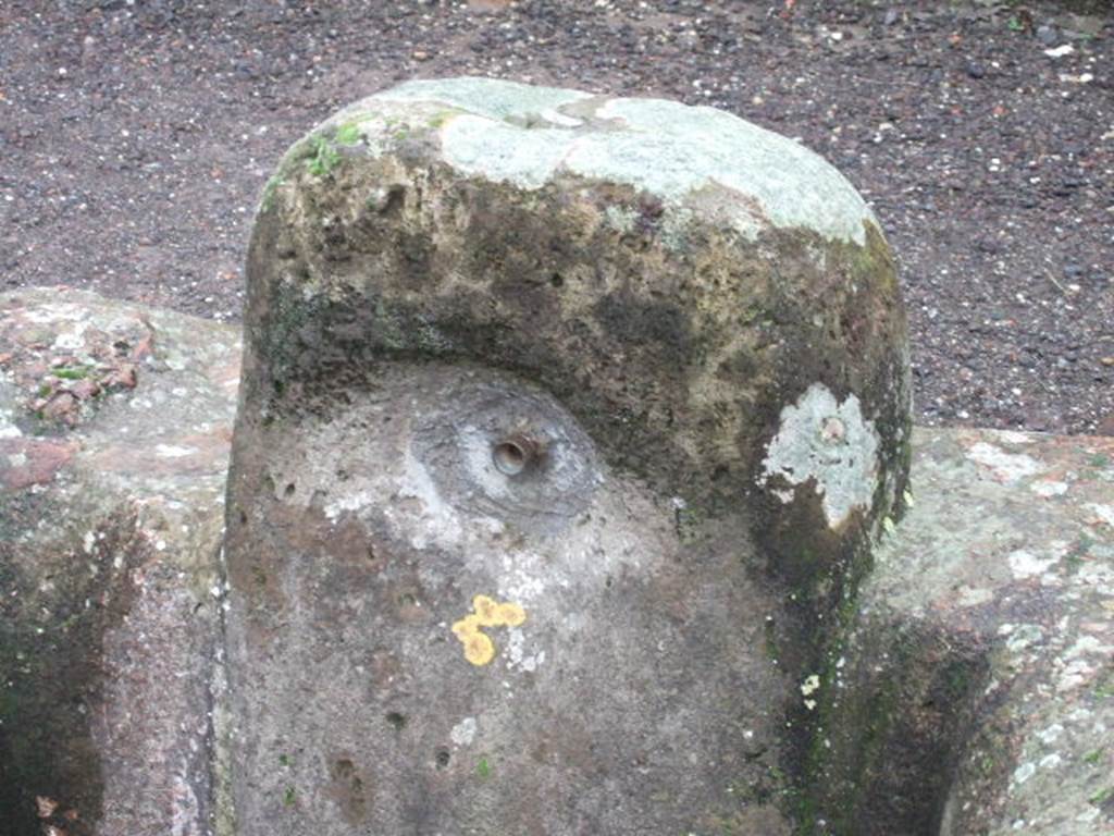 Fountain at VIII.2.20. December 2005. Remains of relief of patera, or plate.