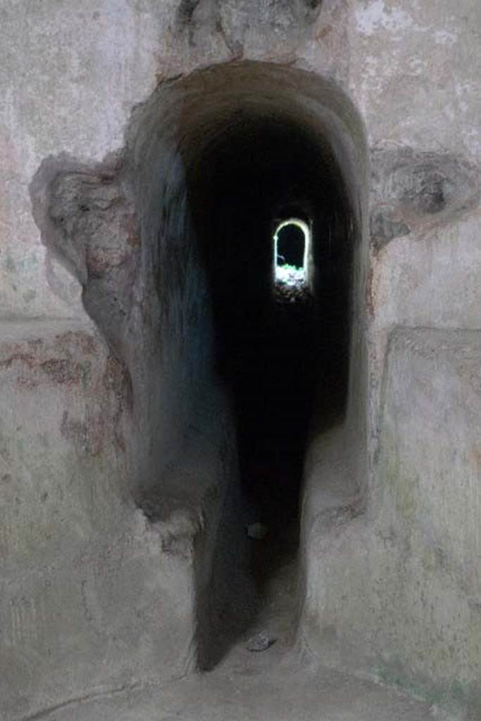 Castellum Aquae Pompeii. July 2010. Aqueduct water inlet channel.
This is in rear north wall of the water tower has a height of 1.24m.
The base of the channel, in which the water flowed, is narrower.
See Notizie degli Scavi di Antichità, 1903 p. 27-31, fig. 5.
Outside the north-west corner of the Porta del Vesuvio is a fenced water channel pit, down which the light at the far end is coming.
Water came on the Augustan aqueduct of Serino which brought water from Serino in Avellino province.