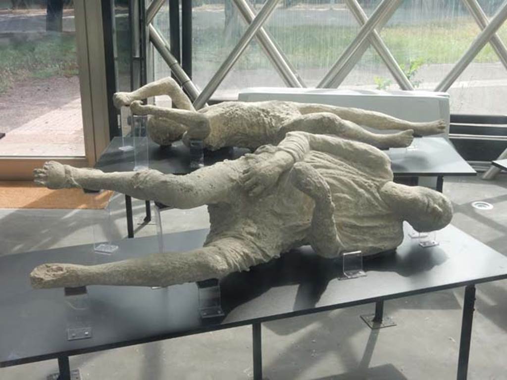Pompeii. May 2018. General view of two more plaster-casts. Photo courtesy of Buzz Ferebee.
At the rear is the plaster-cast of Victim known as no.14 or 15.
According to Garcia y Garcia, she was known as victim no.14.
This victim was recovered from near the Porta Stabia on 11th October 1889.
She had fallen face down but was always displayed as if she was found lying on her back.
See Garcia y Garcia, L., 2006. Danni di guerra a Pompei. Rome: L’Erma di Bretschneider. (p. 193-4, Figg. 451-3).
According to Dwyer, described as victim no. 15, this plaster cast was a woman of mature age.
She had been found lying face down on her stomach and half-clothed, her arms stretched before her.
See Dwyer, E., 2010. Pompeii’s Living Statues. Univ. of Michigan Press: (p.106-7)
In the foreground is the plaster-cast known as Victim 16, the heavily-clothed man.
According to Notizie degli Scavi, (1890, P.128) the body of a man wrapped in his cloak and lying on his left side was found on 12th March 1890 in the excavations outside of the Stabian Gate. It was of a young man, of slender figure, lying on his left side, wound up in his cloak and wearing short pants which exposed his legs from above the knee. On his right foot could be clearly seen the sandal he was wearing.
See Dwyer, E., 2010. Pompeii’s Living Statues. Ann Arbor: Univ of Michigan Press. (p.107-8).