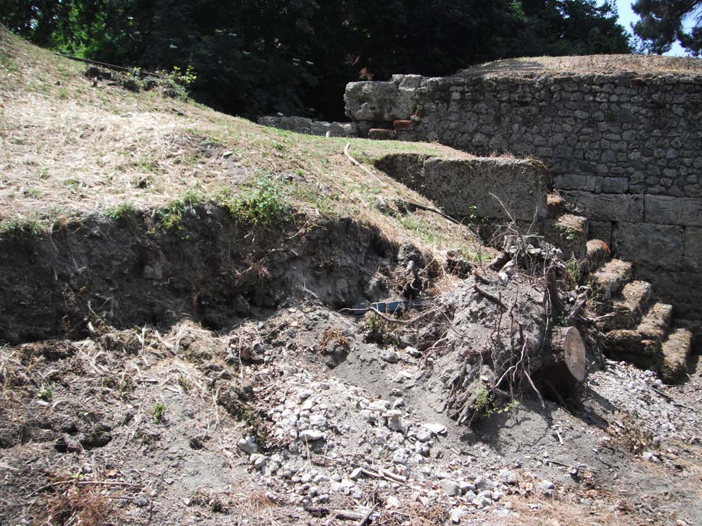 Porta Stabia, Pompeii. May 2011.
Looking south-west towards north end of gate with steps on east side. Photo courtesy of Ivo van der Graaff.