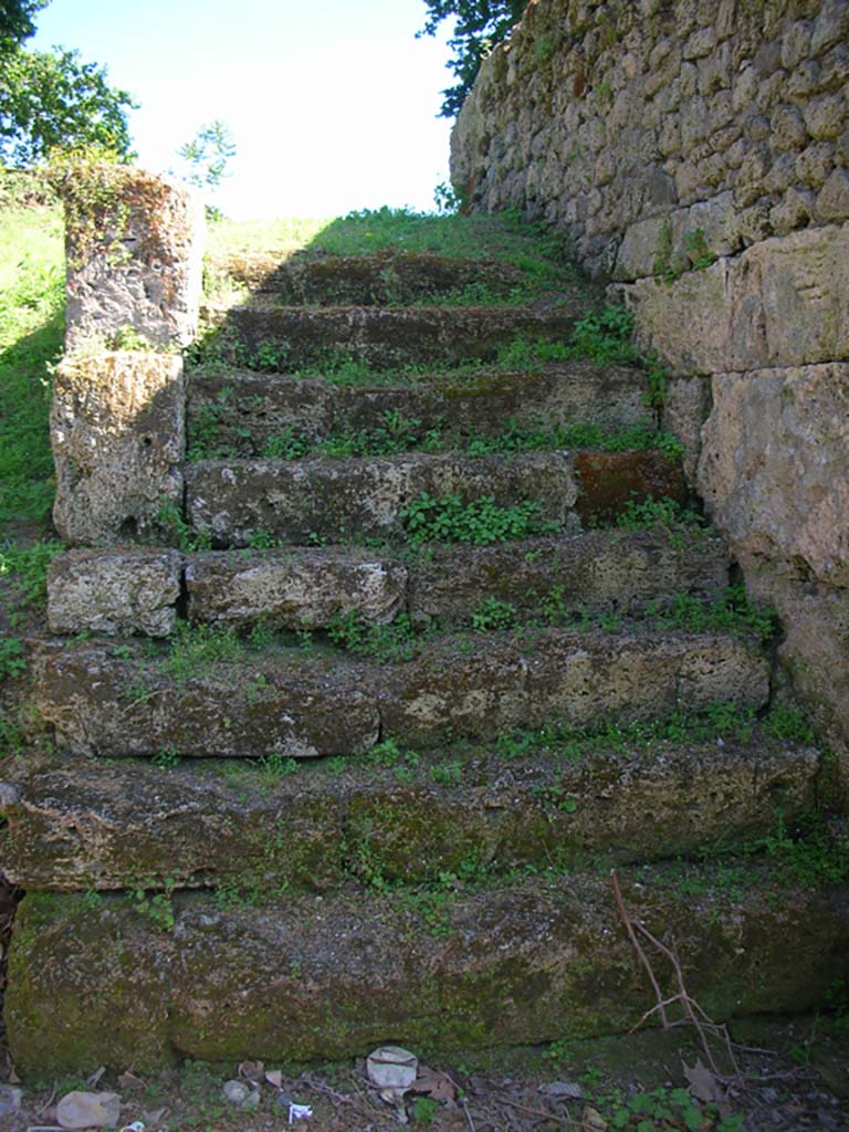Porta Stabia, Pompeii. May 2010.
Steps, looking south along east side of gate. Photo courtesy of Ivo van der Graaff.