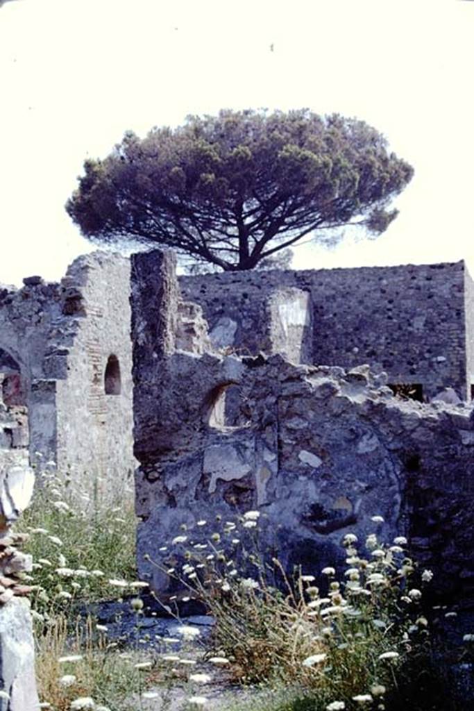 VIII.3.21 Pompeii. 1968. Looking east towards wall with niche, from end of entrance corridor.
On the left is the north wall of room (4) with another niche. Photo by Stanley A. Jashemski.
Source: The Wilhelmina and Stanley A. Jashemski archive in the University of Maryland Library, Special Collections (See collection page) and made available under the Creative Commons Attribution-Non-Commercial License v.4. See Licence and use details.
J68f1181