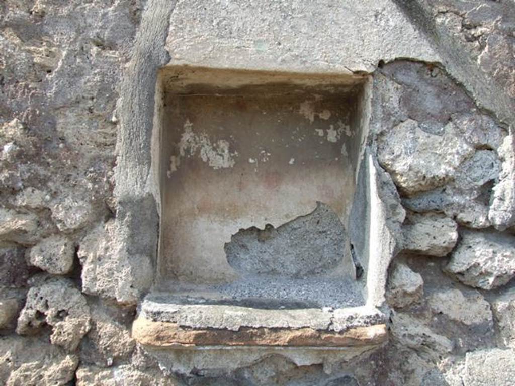 IX.2.18 Pompeii. March 2009. Room 11, garden area. Niche on north wall of east portico area. According to Boyce, this rectangular niche was coated with white stucco like the wall surrounding it. The back wall was covered with red spots, imitating flowers, its floor was a projecting tile.
Painted on the wall below was an altar and from the right a huge red and yellow serpent with a crest approached it. Around the serpent were painted plants, and on them was perched an owl and other birds. Behind the serpent were two dolphins and a sea-monster. Four other small dolphins were painted somewhere nearby. Sogliano said they were sul podio della nicchietta.
See Boyce G. K., 1937. Corpus of the Lararia of Pompeii. Rome: MAAR 14. (p.81 and Pl.1,4)
See Sogliano, A., 1879. Le pitture murali campane scoverte negli anni 1867-79. Napoli. (p.18-19, no.62)