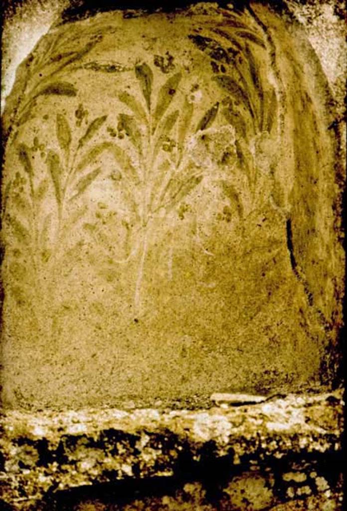 IX.3.12 Pompeii. Niche on south wall.
Photographed 1970-79 by Günther Einhorn, picture courtesy of his son Ralf Einhorn.
