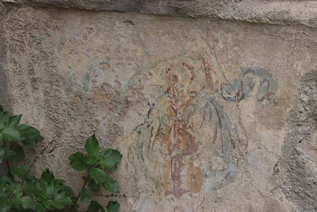IX.7.12, 14 or 16 (?) Pompeii. October 2024. Garden area “e”, detail from north wall of lararium. Photo courtesy of Klaus Heese.
According to Boyce -
“On each of the side walls are painted three figures: from back to front –
a plant, a Lar, a man in a white garment holding in his left hand an object resembling a black cup, with a patera in his right hand.”
See Boyce G. K., 1937. Corpus of the Lararia of Pompeii. Rome: MAAR 14. (p.89, no.445).