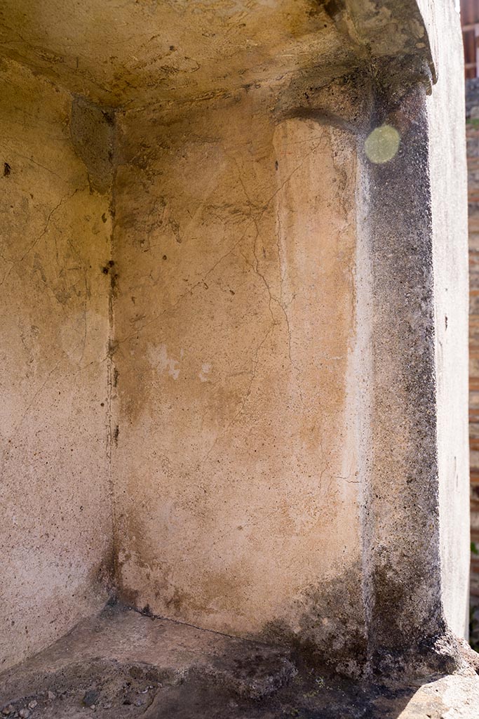 IX.7.20 Pompeii. April 2022. Detail from west side of niche. Photo courtesy of Johannes Eber.