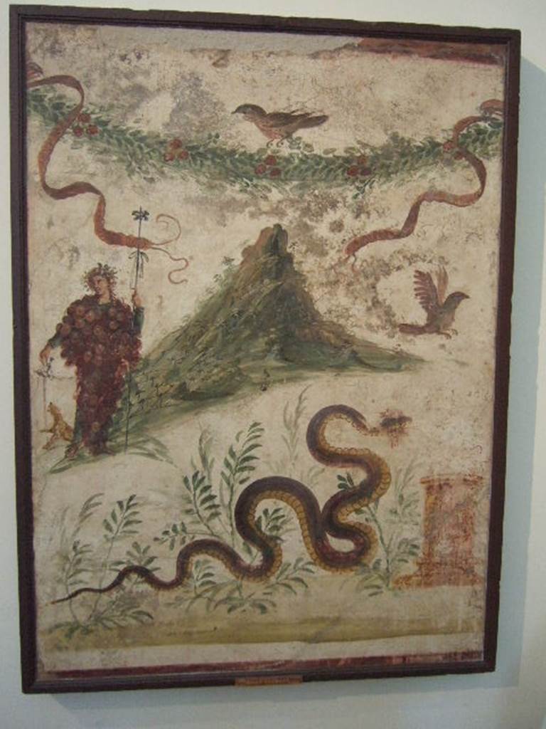 IX.8.3-6 Pompeii. Room 23, Lararium painting found in atrium of servants quarters. Lararium painting of Bacchus wearing a bunch of grapes. Also in the painting are a garland, birds and a serpent approaching a round altar from the left. Bacchus is pouring wine for the panther to drink. The mountain slopes are covered in vines. Now in Naples Archaeological Museum. Inventory number: 112286. See Fröhlich, T., 1991. Lararien und Fassadenbilder in den Vesuvstädten. Mainz: von Zabern. (L107, T: 11). See Boyce G. K., 1937. Corpus of the Lararia of Pompeii. Rome: MAAR 14. (p.89, no.448 and Pl. 40, 2)