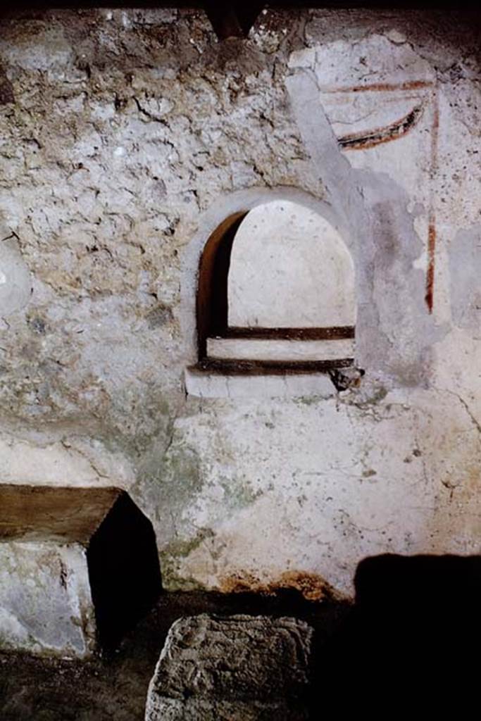 IX.9.10 Pompeii. 1966.
Detail of niche and painted garland on east wall. Photo by Stanley A. Jashemski.
Source: The Wilhelmina and Stanley A. Jashemski archive in the University of Maryland Library, Special Collections (See collection page) and made available under the Creative Commons Attribution-Non Commercial License v.4. See Licence and use details.
J66f0344