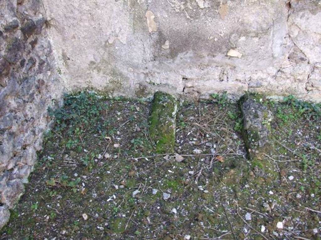 IX.9.11 Pompeii. March 2009. Room 6, Garden area. South west corner, with rectangular basin. Above this was the Lararium painting, badly damaged when found. The Lararium included a painting of Bacchus, a male follower of Bacchus and two maenads, Agave with the head of Pentheus, and Silenus. See Jashemski, W. F., 1993. The Gardens of Pompeii, Volume II: Appendices. New York: Caratzas, p. 247. See Boyce G. K., 1937. Corpus of the Lararia of Pompeii. Rome: MAAR 14. (463c).