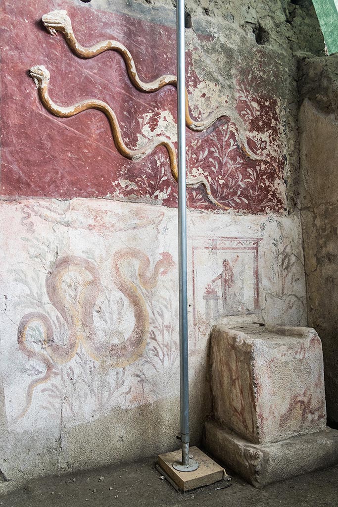 IX.10.1, Pompeii. July 2024.
Room 12, lararium and painted altar at west end of south wall. Photo courtesy of Johannes Eber.
The lower register consists of a white background into which the masonry pulvinus altar decorated in fresco with brown faux-marble highlights is inserted. On the left side there is a fresco of a crested and bearded serpent heading towards the altar, which is surmounted by a painted rectangular aedicule terminating in vegetal whorls, and which frames the Genius patris familias with cornucopia and patera making libations at a circular altar.
The partial deterioration of the painted plaster base on which the scenes of the last phase are laid reveals, in a position off-centre from the previous one, a similar scene belonging to an older decorative phase.
Il registro inferiore è costituito da una specchiatura a fondo bianco (1,55 x 2,20 m) in cui si inserisce l’altare a pulvino in muratura (0,75 x 0,50 m) decorato ad affresco con lumeggiature brune a finto marmo. Sulla sinistra è affrescato un serpente crestato e barbato che si dirige verso l’altare (Fig. 12), sormontato da un’edicola rettangolare dipinta e terminante in girali vegetali, che inquadra il Genius patrisfamilias con cornucopia e patera che compie libagioni presso un altare circolare (Fig. 13). La parziale consunzione della base pittorica a grassello di calce su cui sono stese le scene di ultima fase lascia intravedere, in posizione decentrata rispetto alla precedente, una scena simile appartenente ad una fase decorativa più antica.
See PAP e-journal 6, 28.09.2023, p. 64, fig. 11. Download: PAP e-journals 2023 collection volumes 01-09