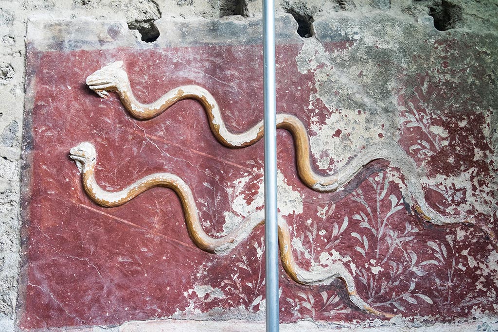 IX.10.1, Pompeii. July 2024. Room 12, upper south wall with two stucco serpents. Photo courtesy of Johannes Eber.
Stucco snakes from the upper register.
The upper register consists of a red background (1.30 x 2.10 m) surrounded by brown, in which two crested and bearded snakes are represented in stucco relief, among shrubs.
Serpenti in stucco dal registro superiore.
Il registro superiore è costituito da una specchiatura a fondo rosso (1,30 x 2,10 m) contornata di bruno, in cui sono rappresentati in rilievo di stucco due serpenti crestati e barbati, tra arbusti.
See PAP e-journal 6, 28.09.2023, p. 65, fig. 15. Download: PAP e-journals 2023 collection volumes 01-09