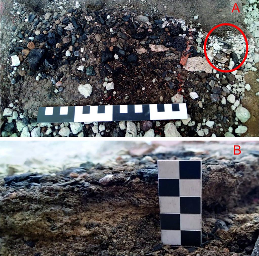 IX.10.1 Pompeii. Lararium and altar recently found in room 12.
Traces of combustion on the altar during micro-excavation. Detail of the first level of the deposit (A); Deposit in section (B).
Tracce di combustione sull’altare in fase di microscavo. Dettaglio del primo livello del deposito (A); Sezione del deposito (B).
See PAP e-journal 6, 28.09.2023, p. 67, fig. 18. Download: PAP e-journals 2023 collection volumes 01-09
Photograph © Parco Archeologico di Pompei.