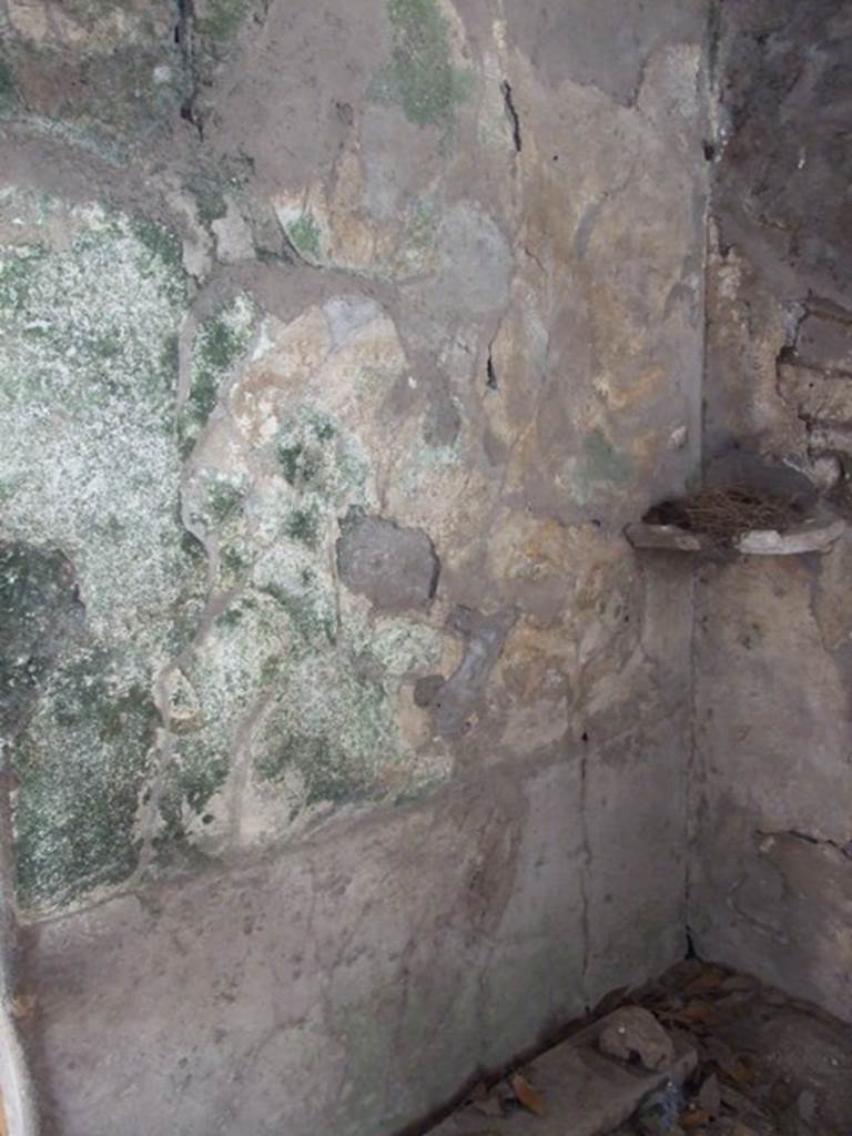 I.10.7 Pompeii. March 2009. Room 9, south wall.
Remains of lararium, with painting of two serpents.
According to Boyce, the west end of the portico was closed off as a kitchen.
On the south wall beside the large hearth was a panel of white stucco.
Within were painted two large coiling serpents, yellow with scales indicated in red.
Both have a crest and beard and a protruding tongue.
Both coil from the left, one above the other, approaching a marble slab adorned with a lion’s head in relief.
This was set into the corner formed by the hearth and the south wall of the room at the level of their heads.
In the background were plants.
See Notizie degli Scavi di Antichità, 1934, 282, and fig.8.
See Boyce G. K., 1937. Corpus of the Lararia of Pompeii. Rome: MAAR 14. (p.29, no.56, and Pl.27, 2)