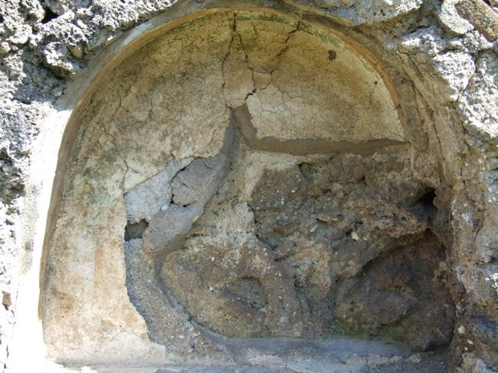 I.10.8 Pompeii. March 2009. Room 14, arched niche.
According to Boyce and Giacobello, in the east wall of the garden was an arched niche with a very thick projecting floor.
The side walls were yellow, and the rear wall was white, and upon it was a painting.
Of this painting only, a green tree was visible to Boyce in 1937.
On the white surface of the wall to the left of the niche, a Lar was painted in blue garments. He held as situla in his lowered right hand but his left was not preserved.
See Notizie degli Scavi di Antichità, 1934, p. 316.
See Boyce G. K., 1937. Corpus of the Lararia of Pompeii. Rome: MAAR 14. (p.29, no.58)
See Giacobello, F., 2008. Larari Pompeiani: Iconografia e culto dei Lari in ambito domestico. Milano: LED Edizioni. (p.257)